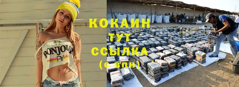 Cocaine Перу  закладка  Купино 